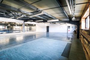 FF19- click for photo gallery